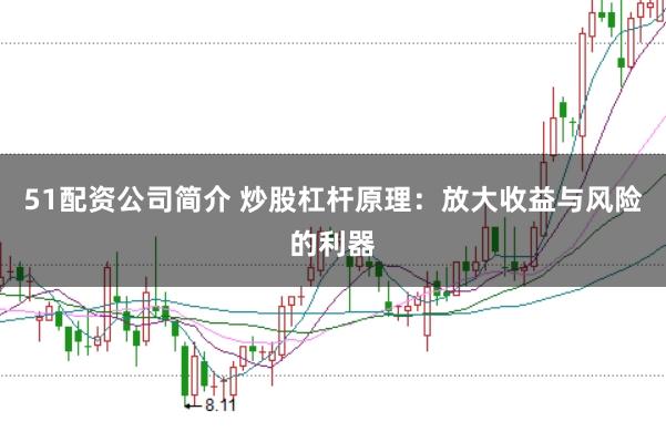 51配资公司简介 炒股杠杆原理：放大收益与风险的利器