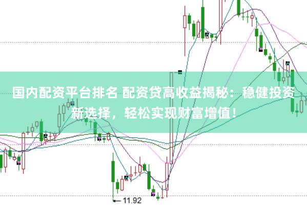 国内配资平台排名 配资贷高收益揭秘：稳健投资新选择，轻松实现财富增值！
