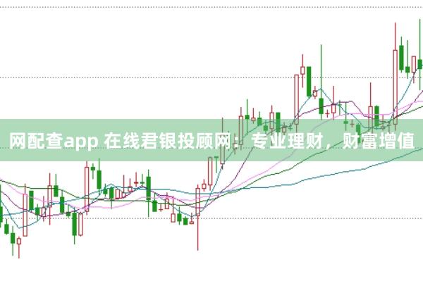 网配查app 在线君银投顾网：专业理财，财富增值