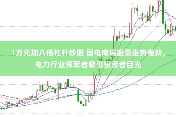 1万元加八倍杠杆炒股 国电南瑞股票走势强劲，电力行业领军者吸引投资者目光