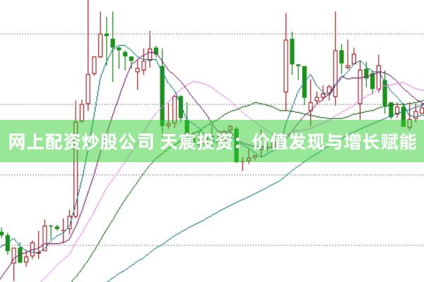 网上配资炒股公司 天宸投资：价值发现与增长赋能