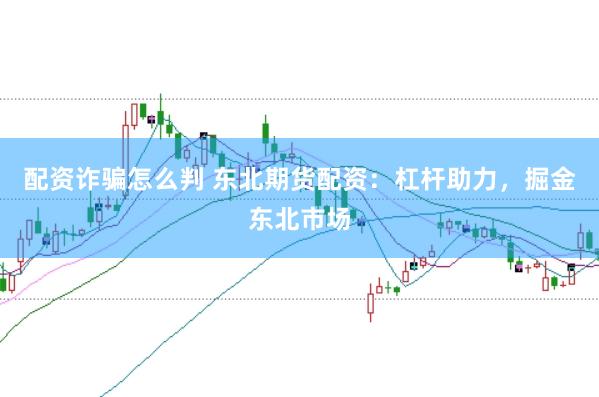 配资诈骗怎么判 东北期货配资：杠杆助力，掘金东北市场
