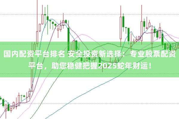 国内配资平台排名 安全投资新选择:专业股票配资平台,助您稳健把握2025蛇年财运!