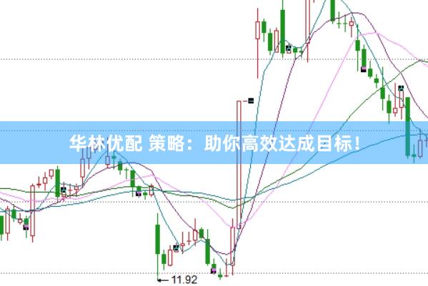 华林优配 策略:助你高效达成目标!