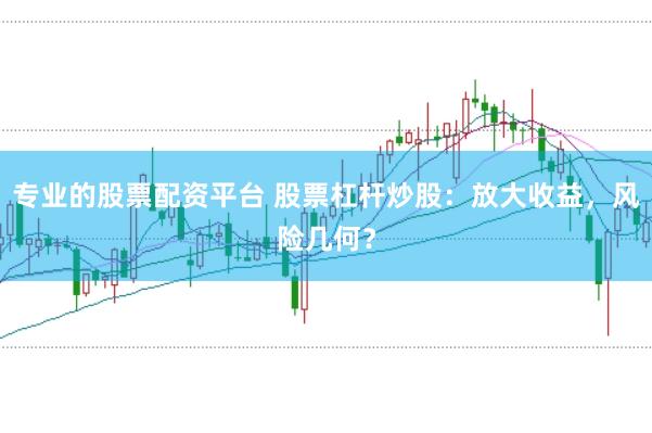 专业的股票配资平台 股票杠杆炒股:放大收益,风险几何?