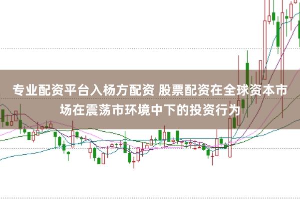专业配资平台入杨方配资 股票配资在全球资本市场在震荡市环境中下的投资行为