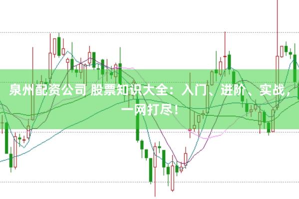 泉州配资公司 股票知识大全：入门、进阶、实战，一网打尽！