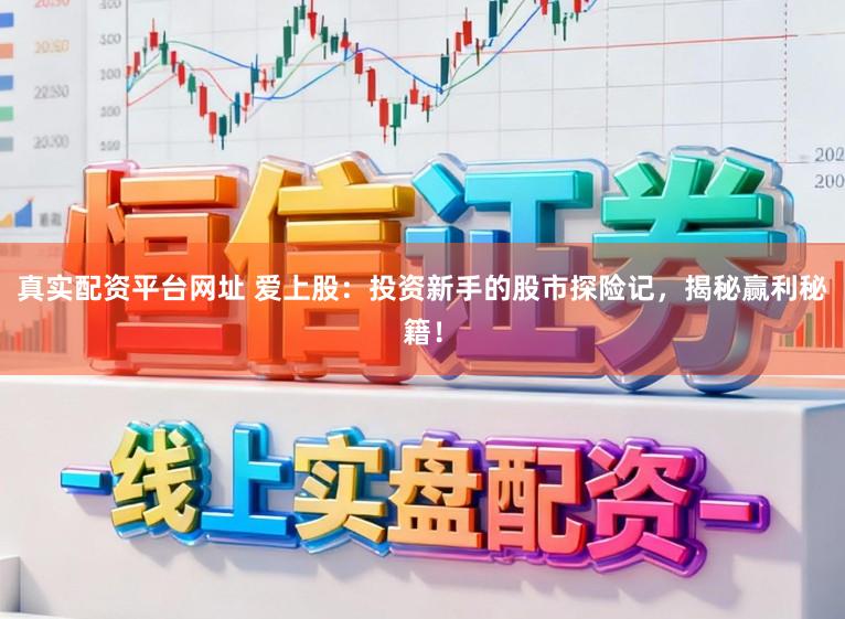 真实配资平台网址 爱上股：投资新手的股市探险记，揭秘赢利秘籍！