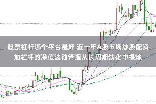 股票杠杆哪个平台最好 近一年A股市场炒股配资加杠杆的净值波动管理从长周期演化中提炼