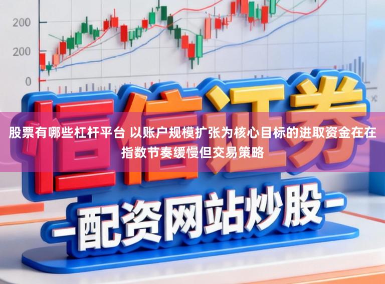 股票有哪些杠杆平台 以账户规模扩张为核心目标的进取资金在在指数节奏缓慢但交易策略